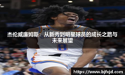 多宝官方网站