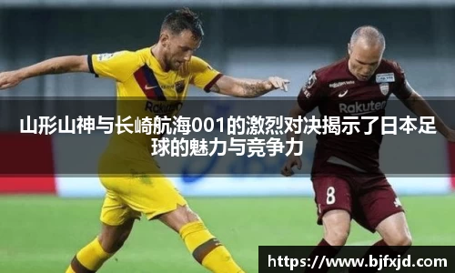 多宝官网