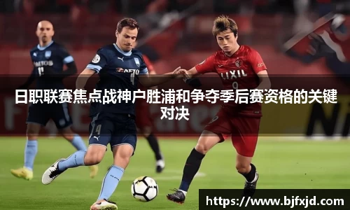 多宝官网