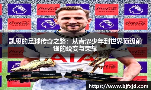 多宝官网
