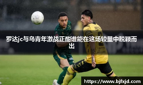 多宝官方网站
